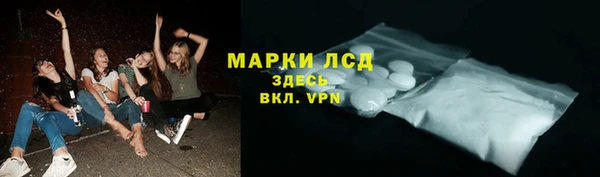 mdpv Вяземский