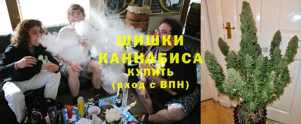 mdpv Вяземский