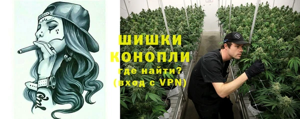 mdpv Вяземский