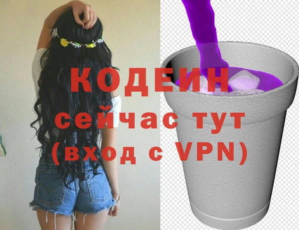 mdpv Вяземский