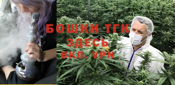 mdpv Вяземский