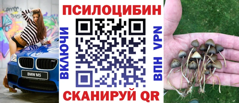 Псилоцибиновые грибы Psilocybine cubensis  где найти наркотики  Елец 